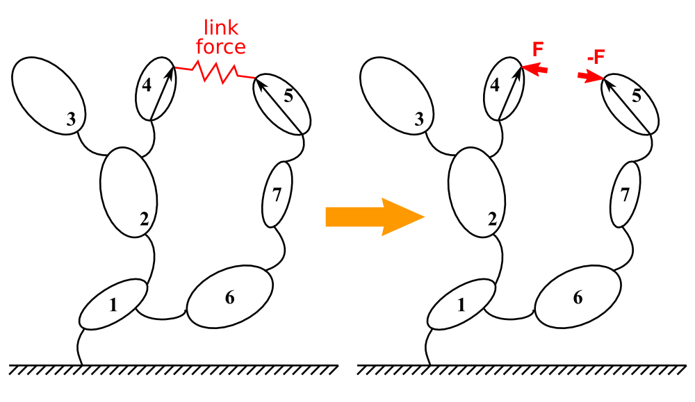 When adding a link between two points, a force aligned with the direction of those two point act on the first body and the reaction act on the second body